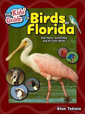 cover image of The Kids' Guide to Birds of Florida